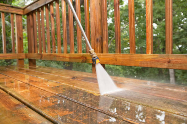 Best Solar Panel Cleaning  in Horicon, WI